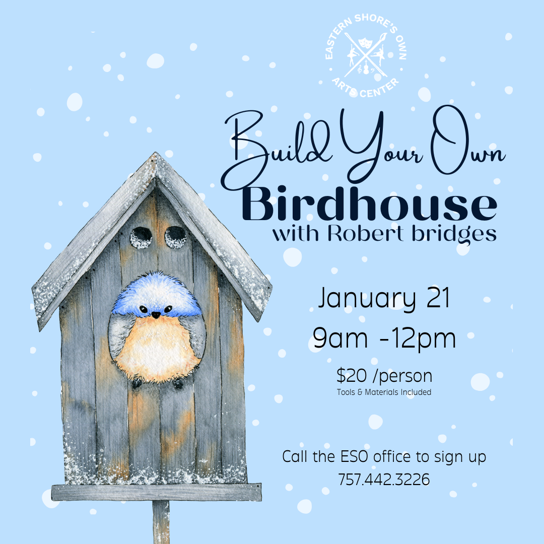 Build your own birdhouse with Robert Bridges